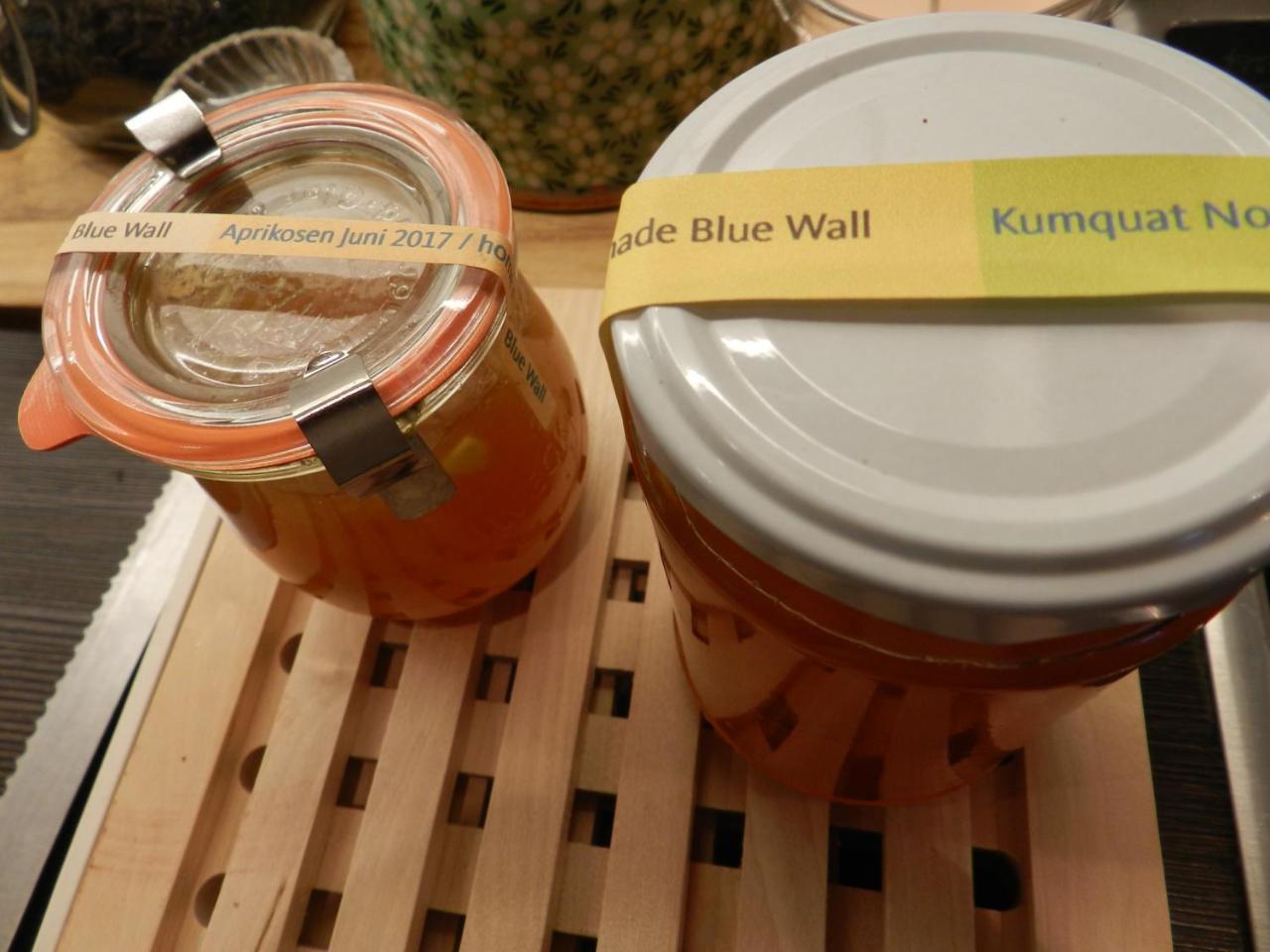 Blue Wall Bnb Gebenstorf Dış mekan fotoğraf